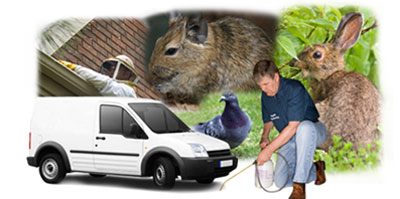 Mangotsfield local van